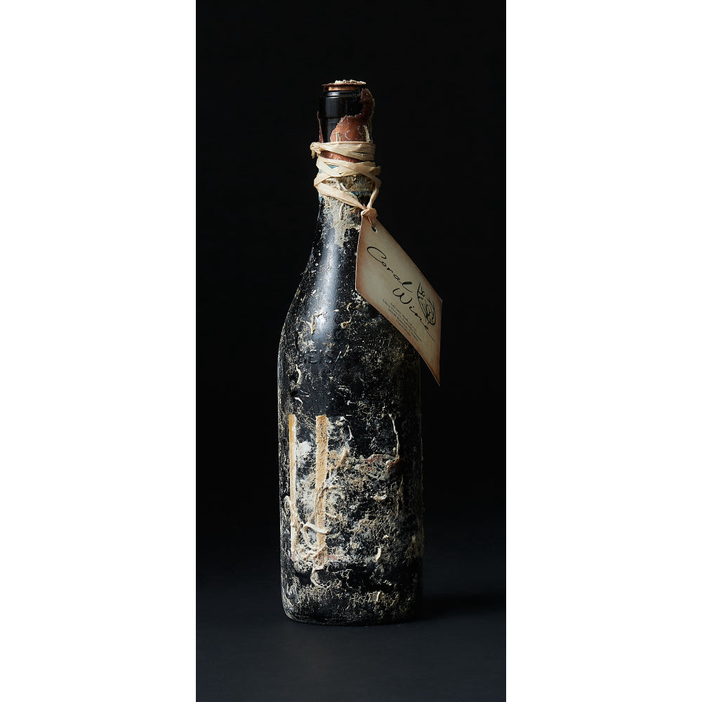 CORAL WINE BARBERA D'ABLA FRERE DOC 2020