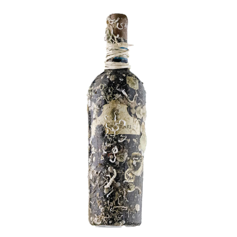 CORAL WINE VALPOLICELLA SUPERIORE DOC 2017