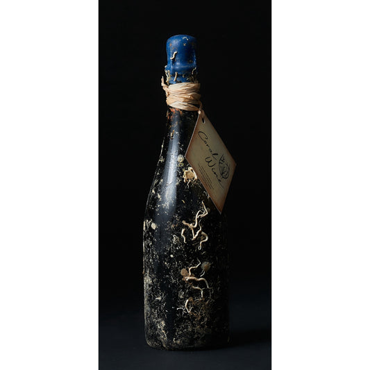 CORAL WINE JAZZ SPARKING BLANC DE BLANC 2015